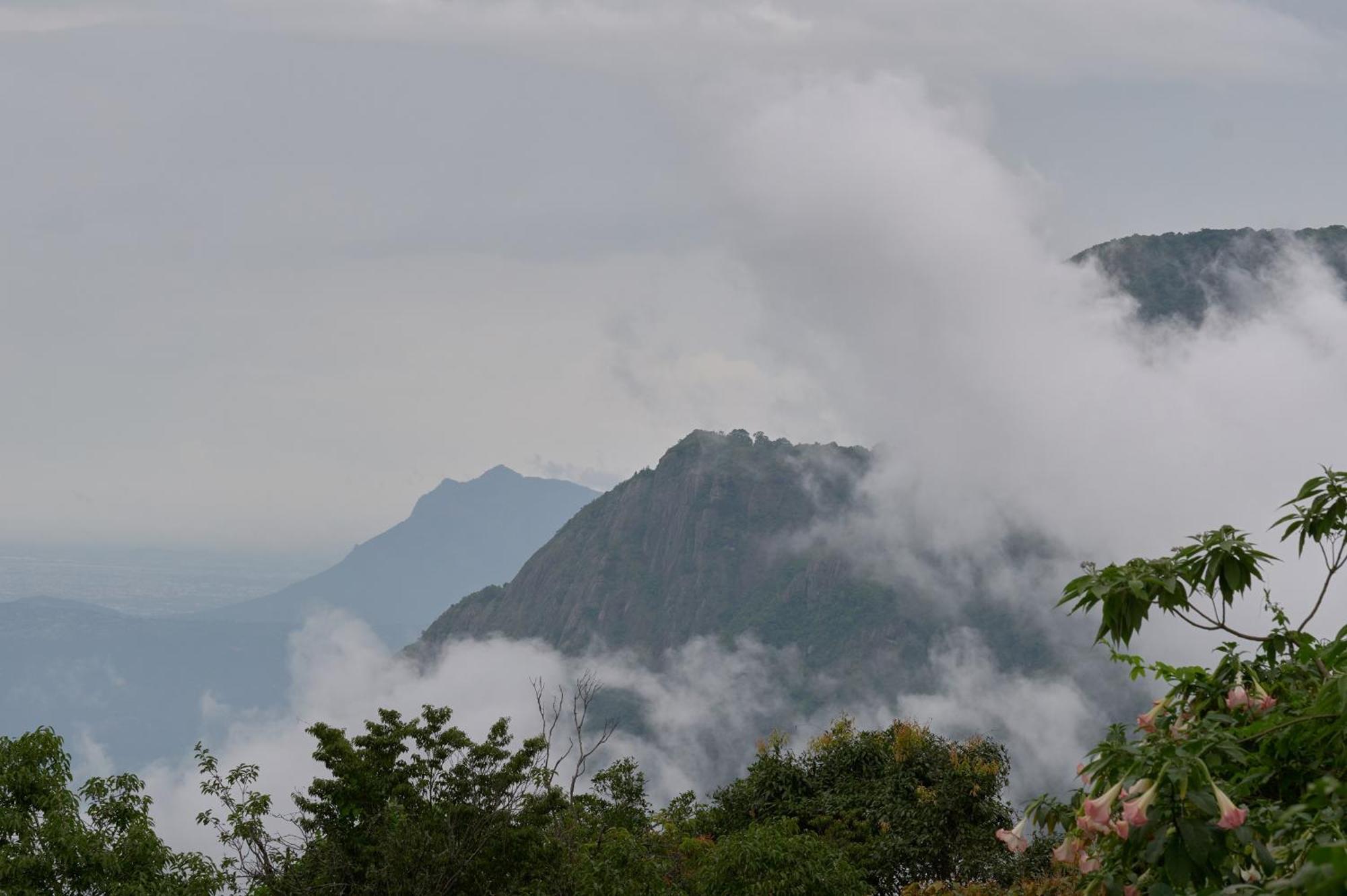 De Rock Jungle Living Resort Coonoor Eksteriør bilde