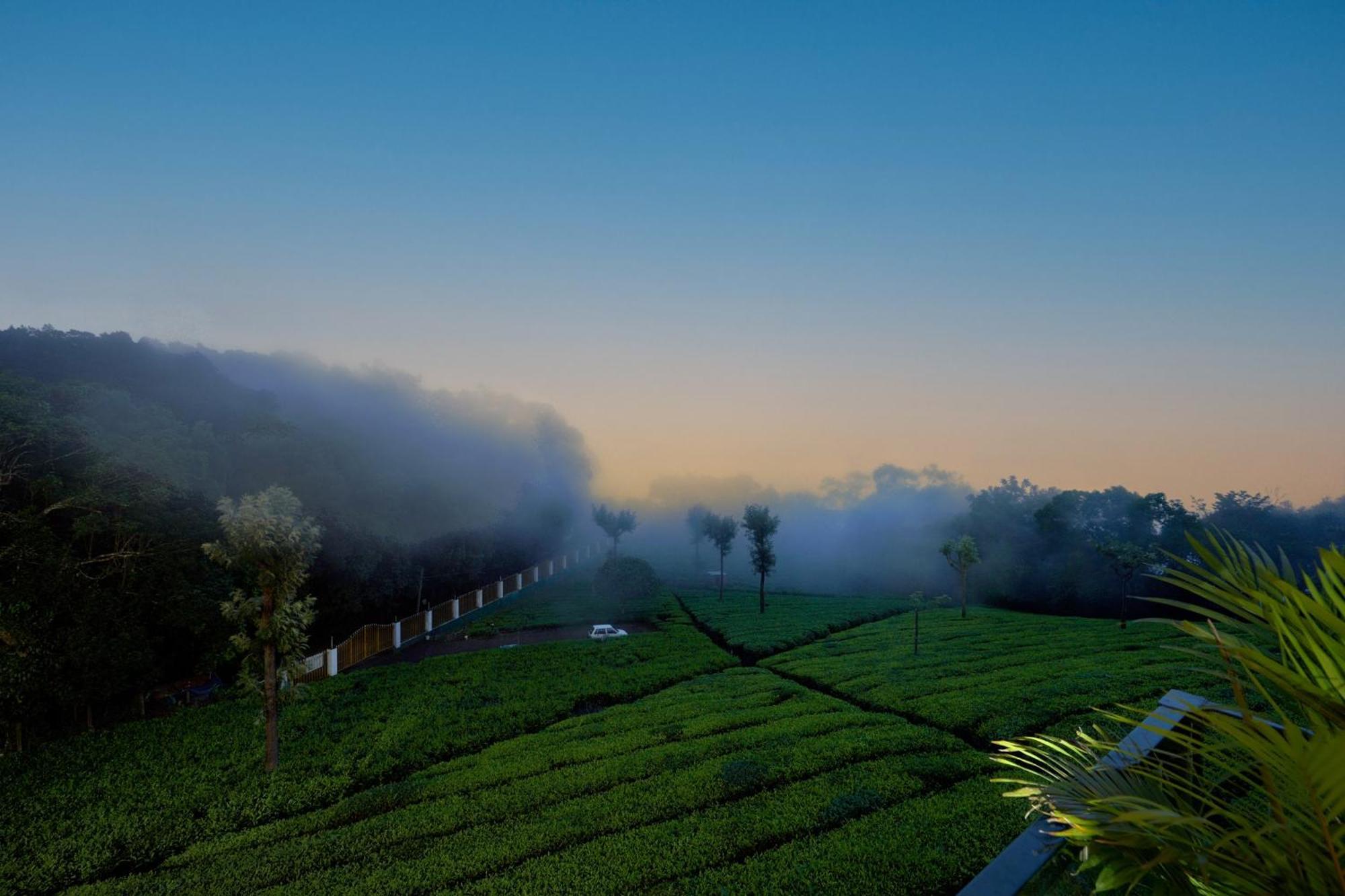 De Rock Jungle Living Resort Coonoor Eksteriør bilde