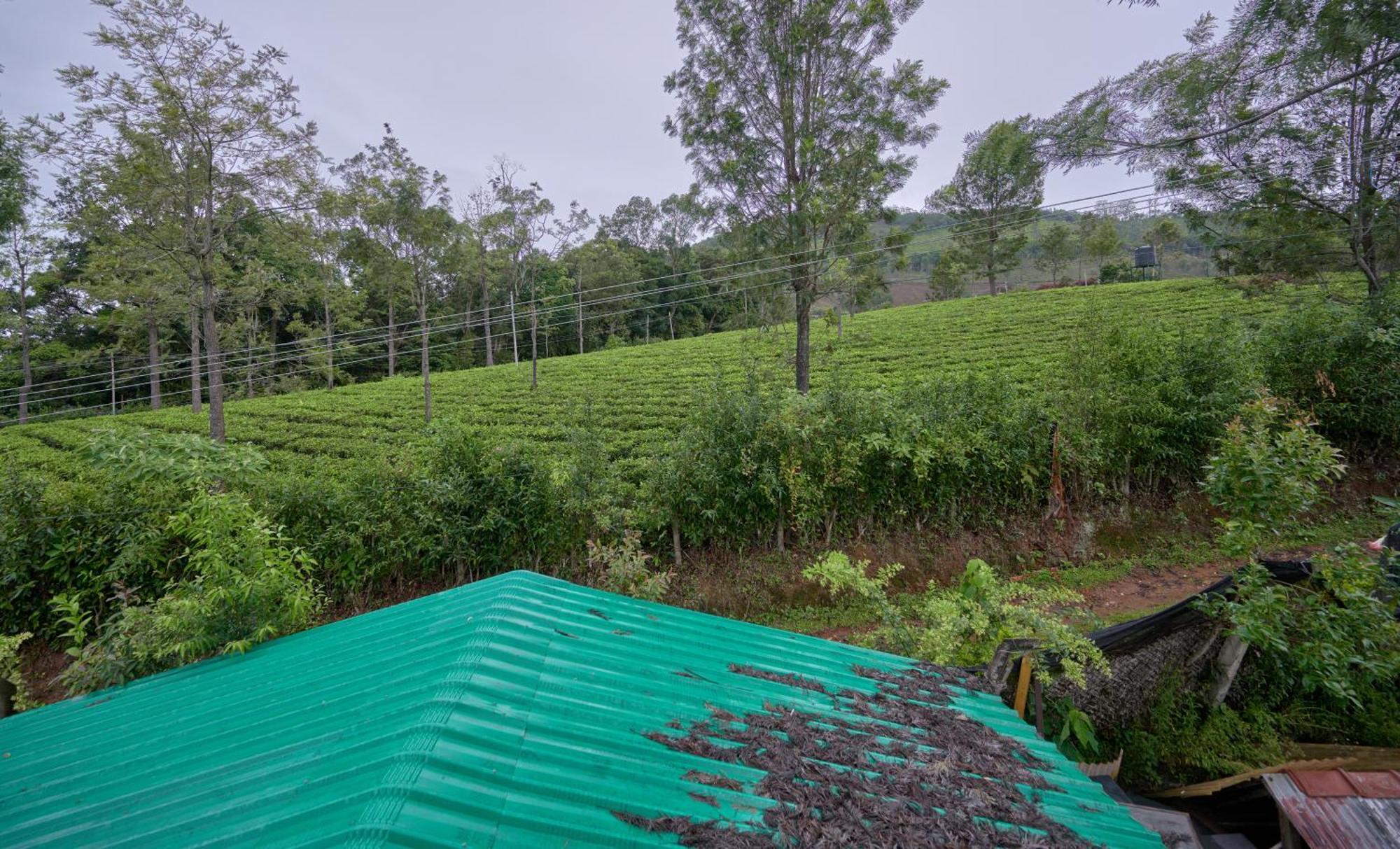 De Rock Jungle Living Resort Coonoor Eksteriør bilde